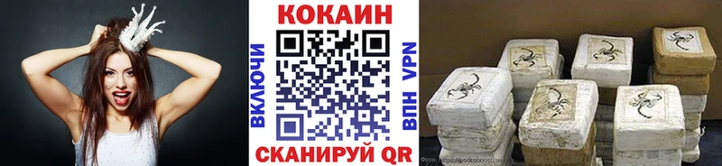 кракен   Ершов  Cocaine FishScale 