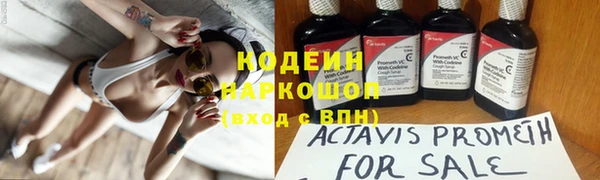 PSILOCYBIN Белокуриха