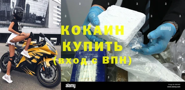 PSILOCYBIN Белокуриха