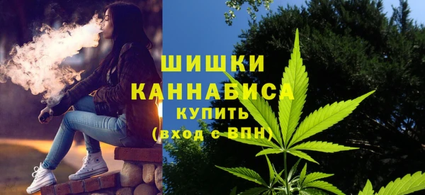 сатива Балабаново